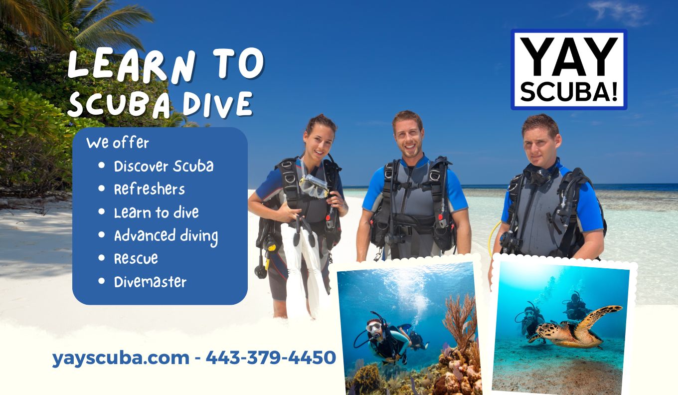 YAY Scuba Learn to Dive Belair Downtown Alliance