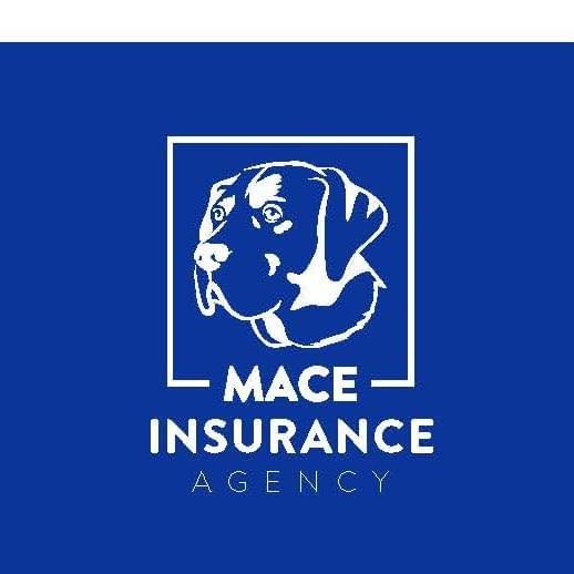 mace agency logo